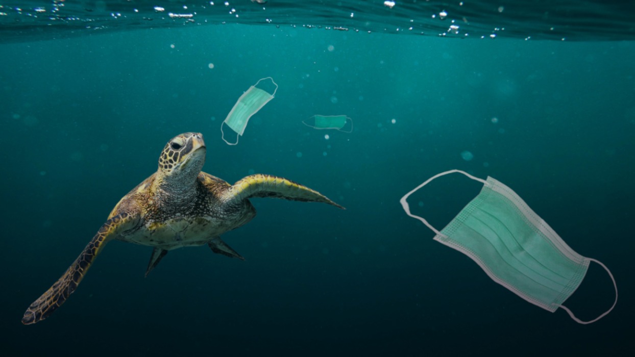Reduce, Reuse, Recycle: Bilinçsiz Plastik Kullanımı